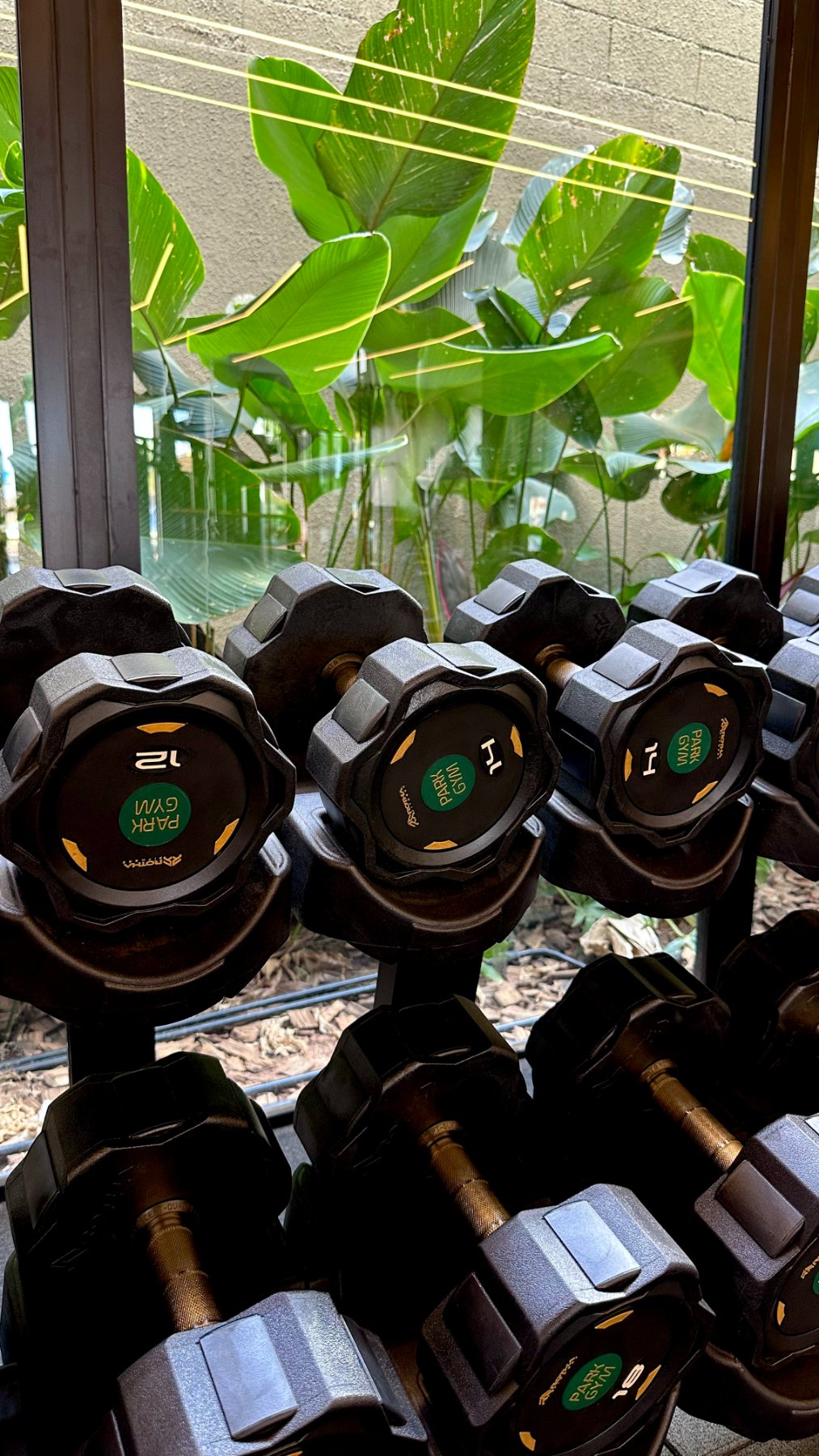 Halteres Park Gym